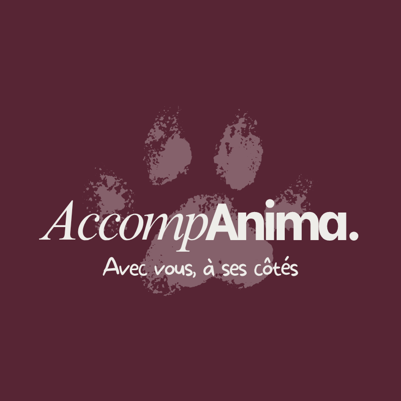 Logo AccompAnima. Pourpre
